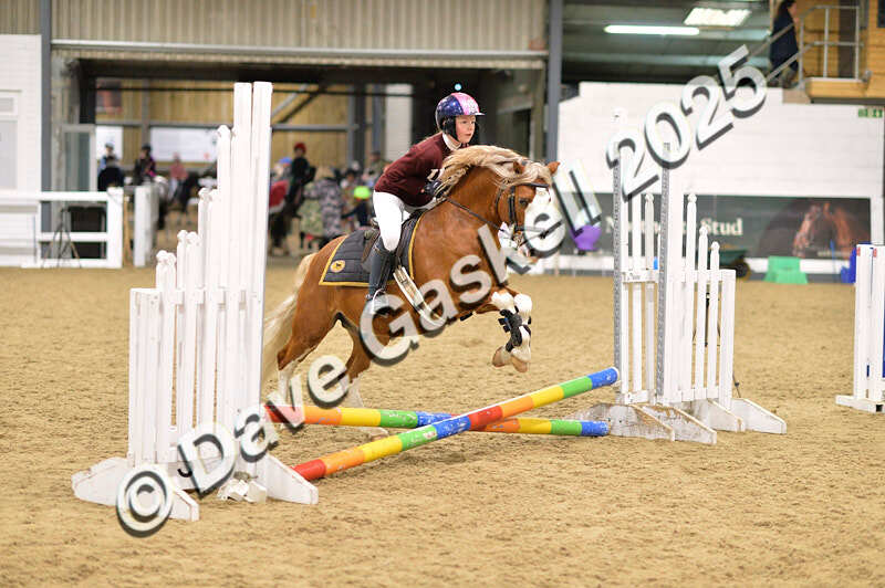 D4N_6640 - NorthcoteSat8thDec'25 XmasShowJumping AvailableUntil6thJan'26