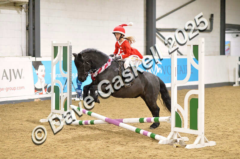 D4N_6715 - NorthcoteSat8thDec'25 XmasShowJumping AvailableUntil6thJan'26