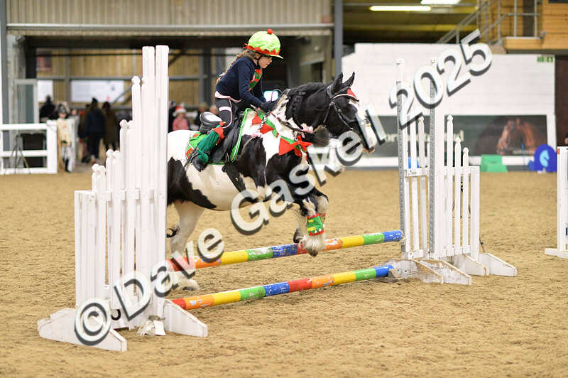D4N_6663 - NorthcoteSat8thDec'25 XmasShowJumping AvailableUntil6thJan'26