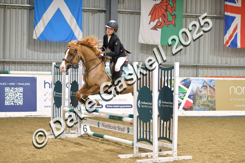 D4N_5762 - NorthcoteSun16thNov'25 Unaff.Jumping AvailableUntil16thDec'25