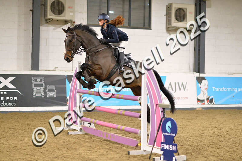 D4N_6563 - NorthcoteSun16thNov'25 Unaff.Jumping AvailableUntil16thDec'25