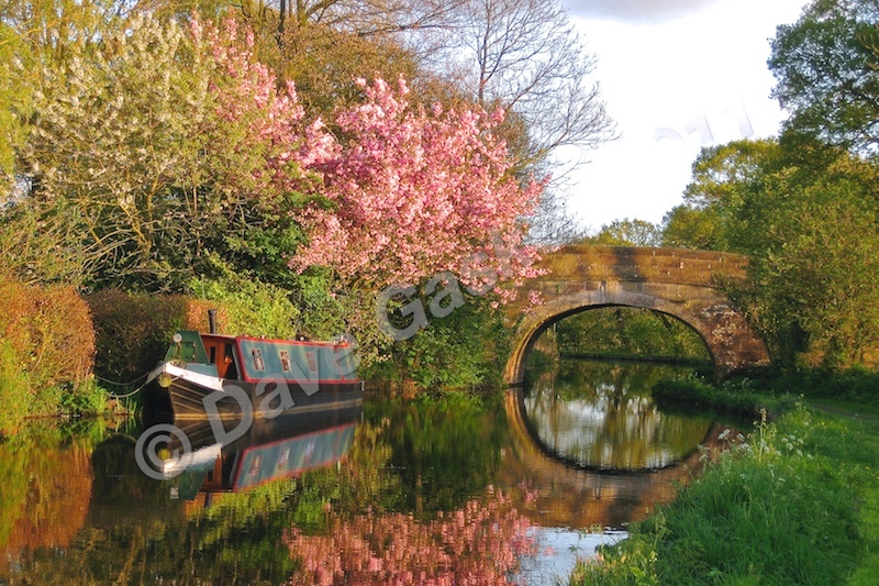 IMG_0360 2 - Canal