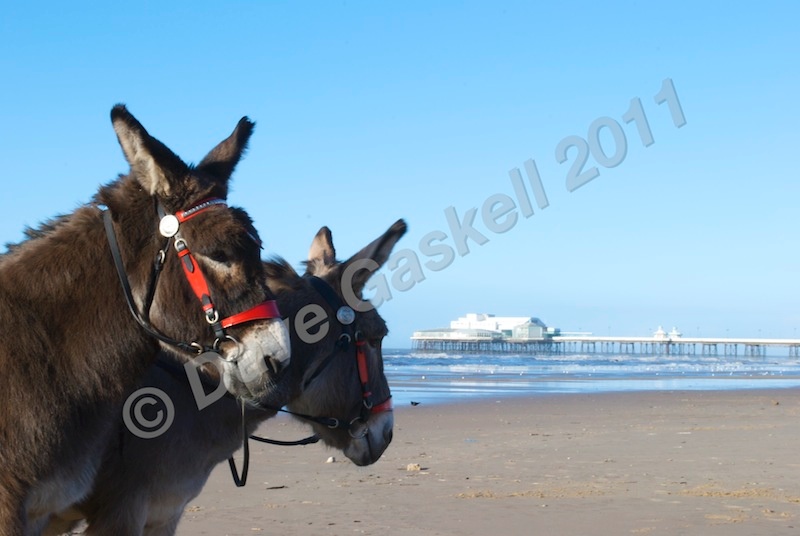 DSC_0628 - Version 4 - Blackpool & Lytham
