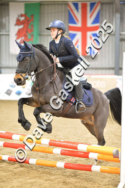 D4N_5636 - NorthcoteSun16thNov'25 Unaff.Jumping AvailableUntil16thDec'25