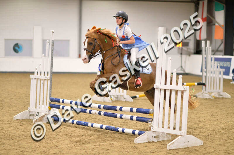 D4N_4961 - NorthcoteSun26thOct'25 Unaff.Jumping AvailableUntil28thNov'25