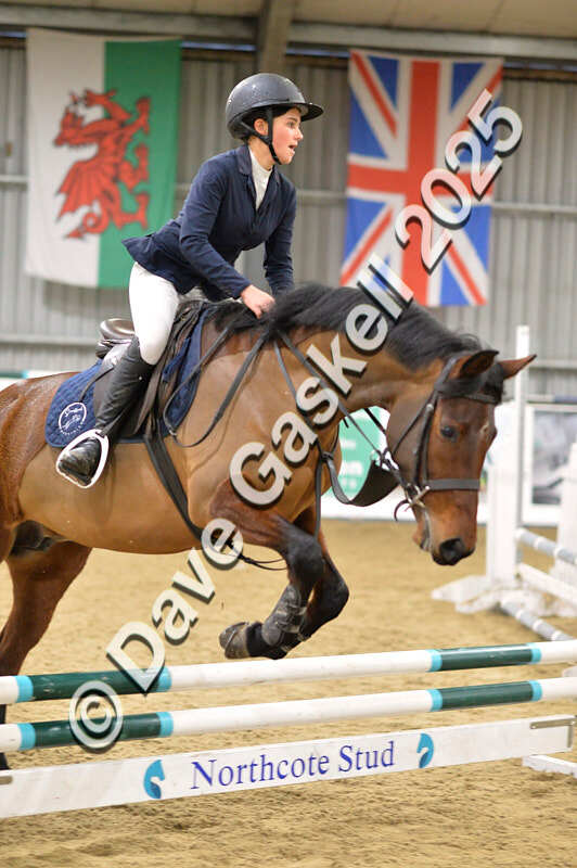 D4N_7163 - NorthcoteSat8thDec'25 XmasShowJumping AvailableUntil6thJan'26