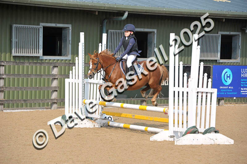 D8F_3460 - NorthcoteSat9thAug'25 Unaff.ShowJumping AvailableUntil9thSept25
