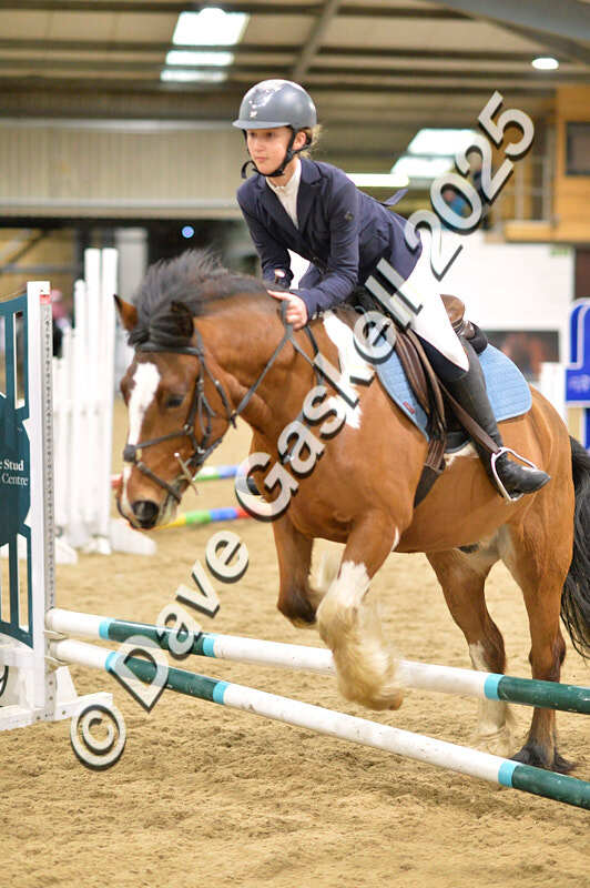 D4N_6740 - NorthcoteSat8thDec'25 XmasShowJumping AvailableUntil6thJan'26