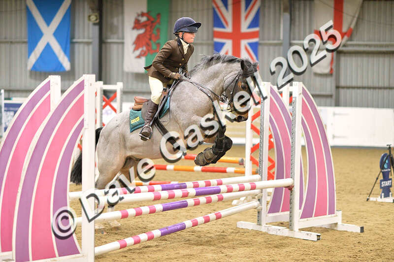 D4N_5787 - NorthcoteSun16thNov'25 Unaff.Jumping AvailableUntil16thDec'25