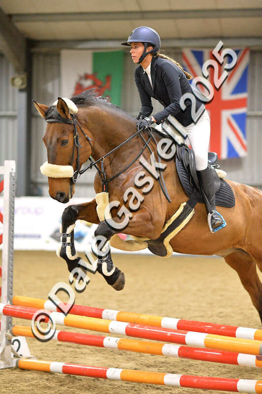 D4N_6127 - NorthcoteSun16thNov'25 Unaff.Jumping AvailableUntil16thDec'25