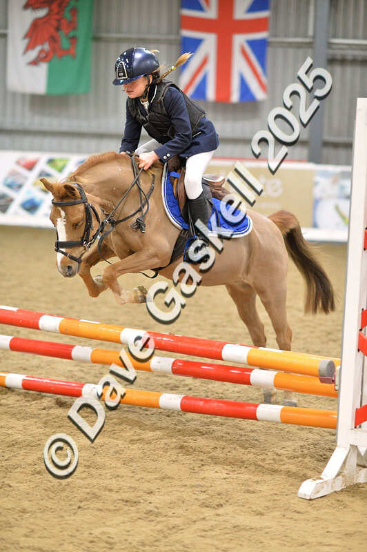 D4N_5677 - NorthcoteSun16thNov'25 Unaff.Jumping AvailableUntil16thDec'25