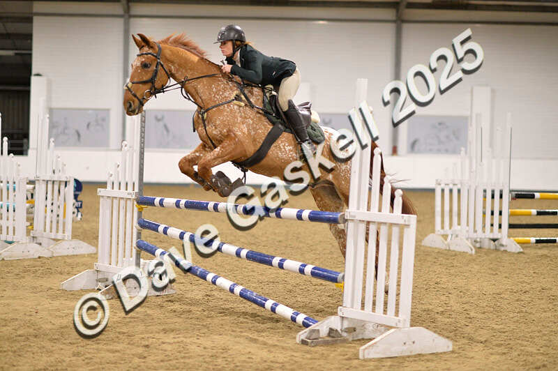 D4N_5458 - NorthcoteSun26thOct'25 Unaff.Jumping AvailableUntil28thNov'25