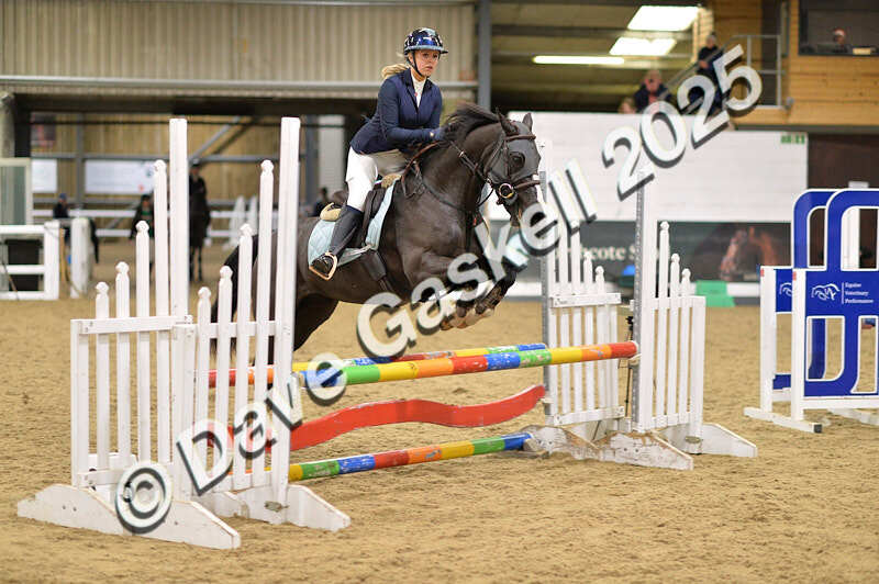 D4N_6990 - NorthcoteSat8thDec'25 XmasShowJumping AvailableUntil6thJan'26