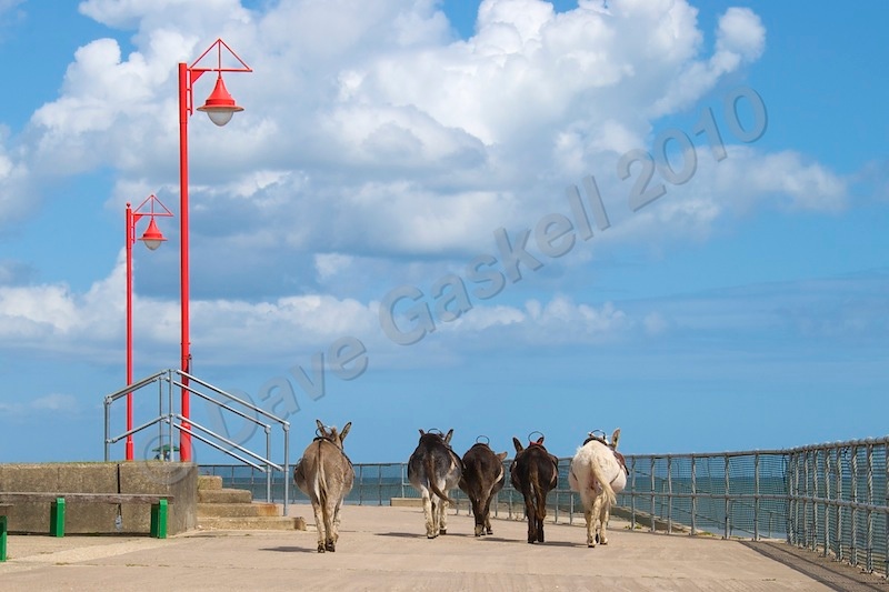DSC_4170 - Version 4 - Mablethorpe