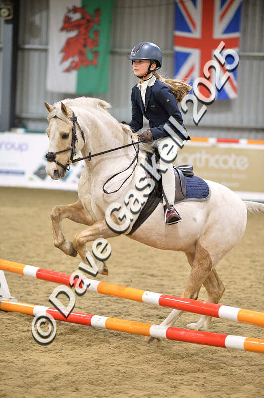 D4N_5540 - NorthcoteSun16thNov'25 Unaff.Jumping AvailableUntil16thDec'25