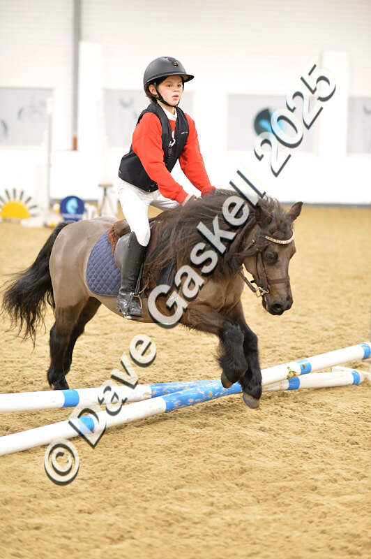 D4N_6605 - NorthcoteSat8thDec'25 XmasShowJumping AvailableUntil6thJan'26