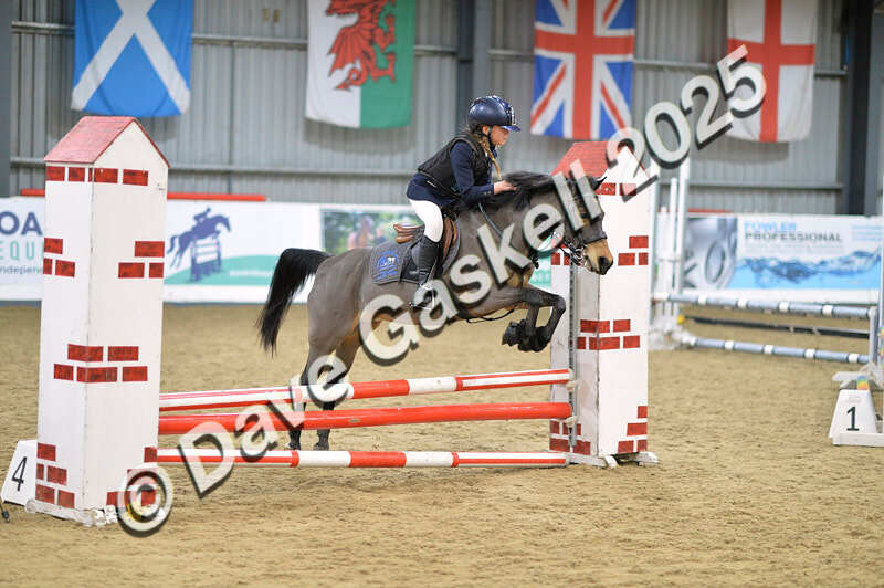 D4N_5585 - NorthcoteSun16thNov'25 Unaff.Jumping AvailableUntil16thDec'25