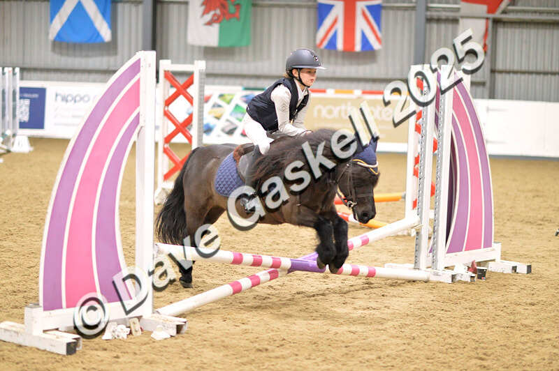 D4N_5515 - NorthcoteSun16thNov'25 Unaff.Jumping AvailableUntil16thDec'25