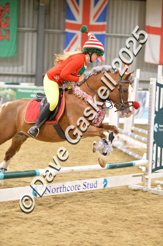 D4N_7099 - NorthcoteSat8thDec'25 XmasShowJumping AvailableUntil6thJan'26