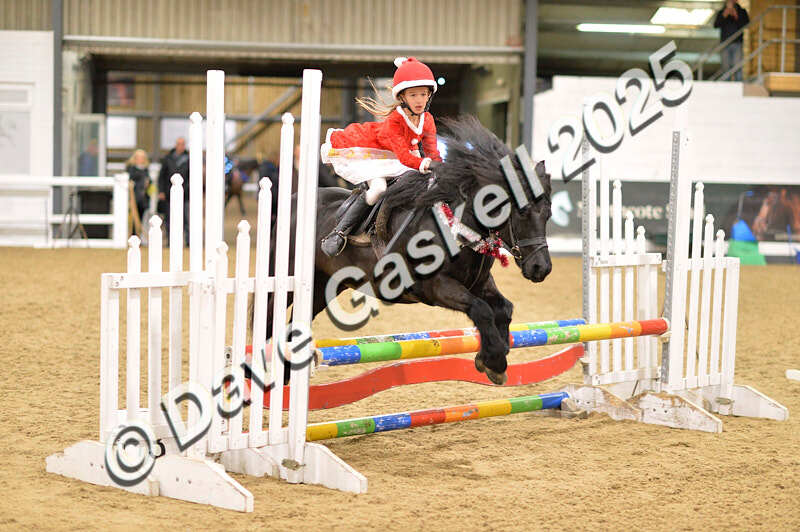 D4N_6828 - NorthcoteSat8thDec'25 XmasShowJumping AvailableUntil6thJan'26