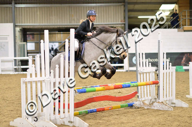 D4N_6948 - NorthcoteSat8thDec'25 XmasShowJumping AvailableUntil6thJan'26
