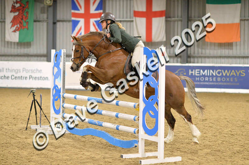 D4N_6288 - NorthcoteSun16thNov'25 Unaff.Jumping AvailableUntil16thDec'25