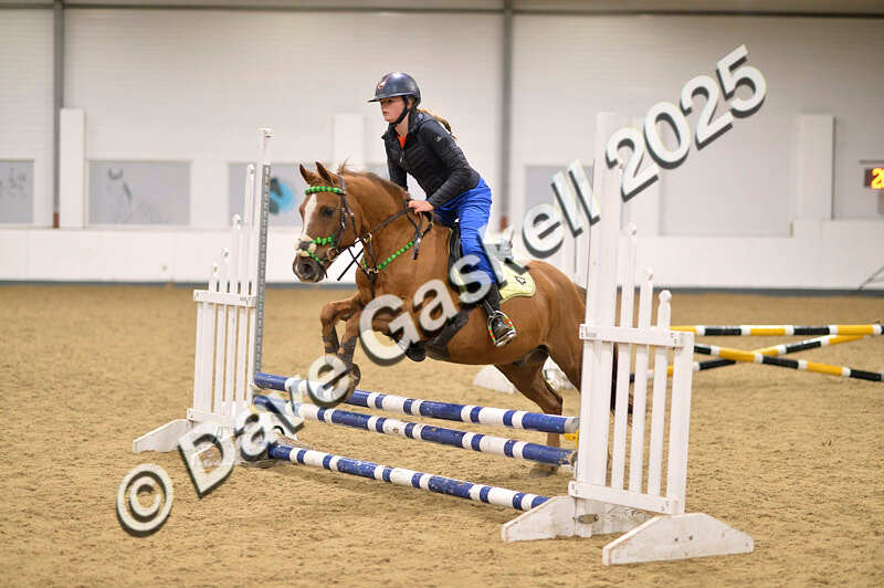 D4N_4968 - NorthcoteSun26thOct'25 Unaff.Jumping AvailableUntil28thNov'25