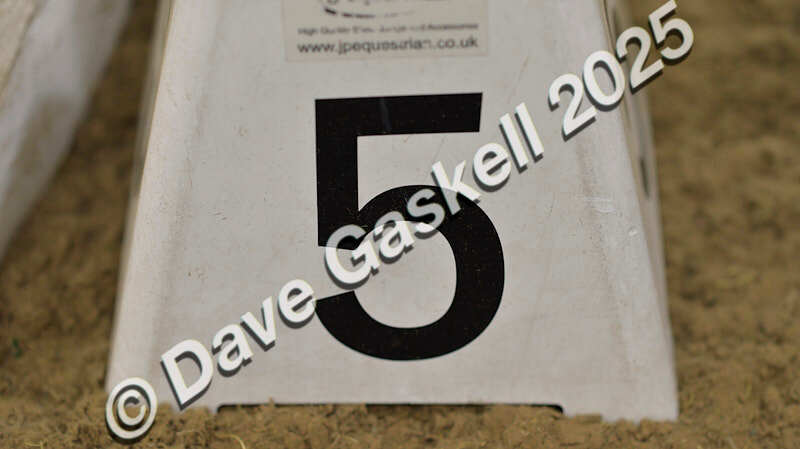 D4N_5813 - NorthcoteSun16thNov'25 Unaff.Jumping AvailableUntil16thDec'25