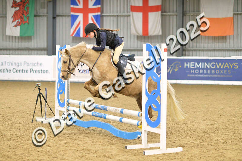 D4N_5665 - NorthcoteSun16thNov'25 Unaff.Jumping AvailableUntil16thDec'25