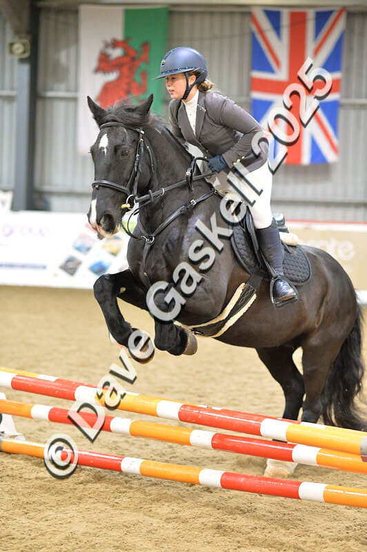 D4N_5671 - NorthcoteSun16thNov'25 Unaff.Jumping AvailableUntil16thDec'25