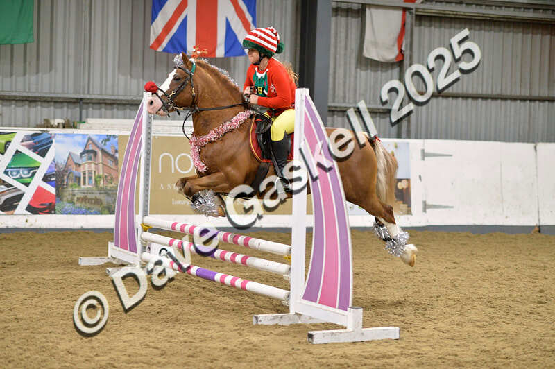 D4N_7114 - NorthcoteSat8thDec'25 XmasShowJumping AvailableUntil6thJan'26