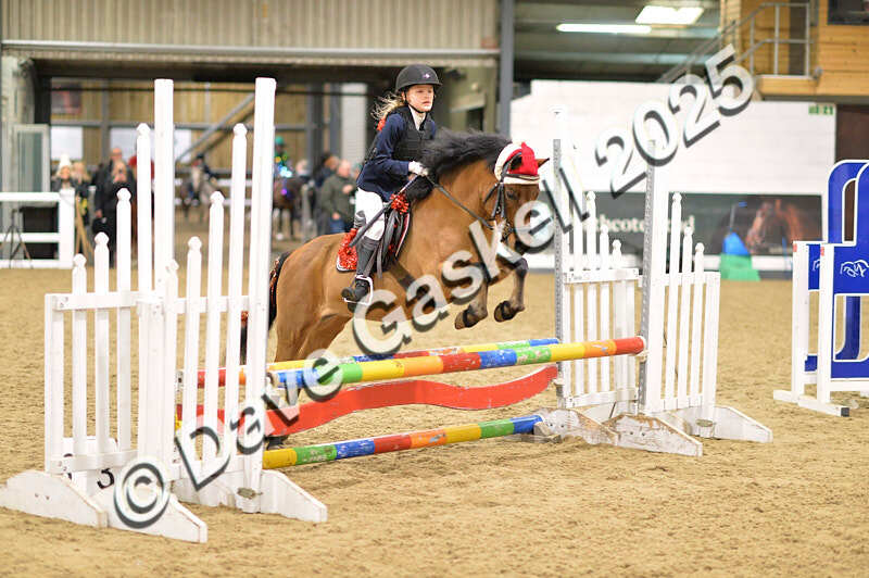 D4N_6842 - NorthcoteSat8thDec'25 XmasShowJumping AvailableUntil6thJan'26
