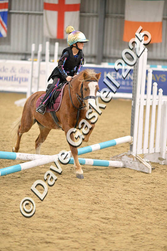 D4N_4731 - NorthcoteSun26thOct'25 Unaff.Jumping AvailableUntil28thNov'25