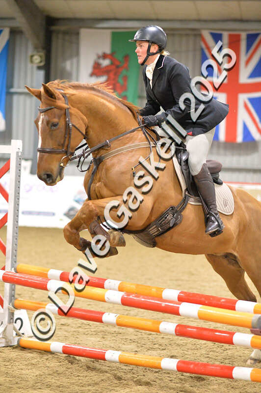 D4N_6347 - NorthcoteSun16thNov'25 Unaff.Jumping AvailableUntil16thDec'25