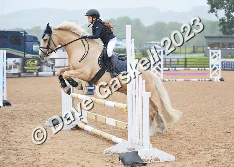 D8D_7305 - Juniors