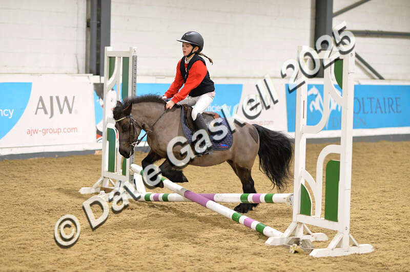 D4N_6676 - NorthcoteSat8thDec'25 XmasShowJumping AvailableUntil6thJan'26