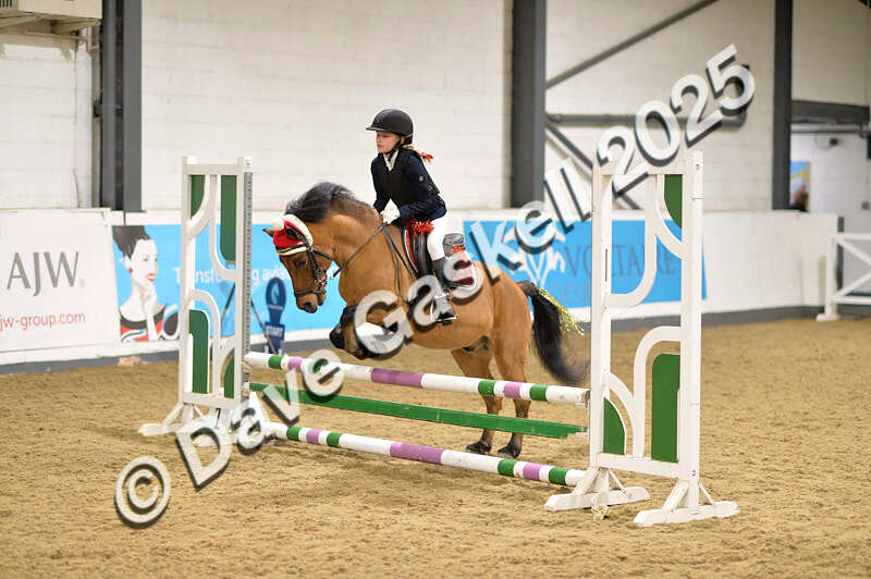D4N_6841 - NorthcoteSat8thDec'25 XmasShowJumping AvailableUntil6thJan'26
