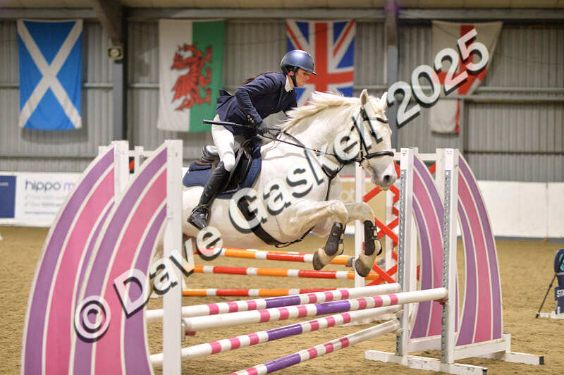 D4N_6223 - NorthcoteSun16thNov'25 Unaff.Jumping AvailableUntil16thDec'25