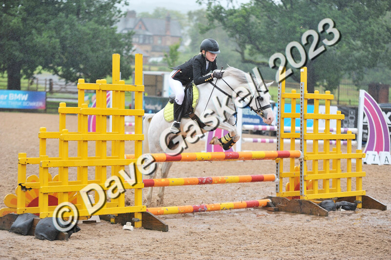 D8D_7375 - Juniors