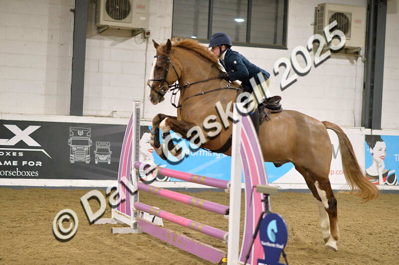 D4N_6483 - NorthcoteSun16thNov'25 Unaff.Jumping AvailableUntil16thDec'25