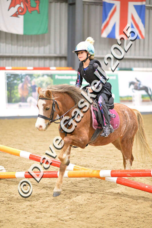 D4N_4732 - NorthcoteSun26thOct'25 Unaff.Jumping AvailableUntil28thNov'25