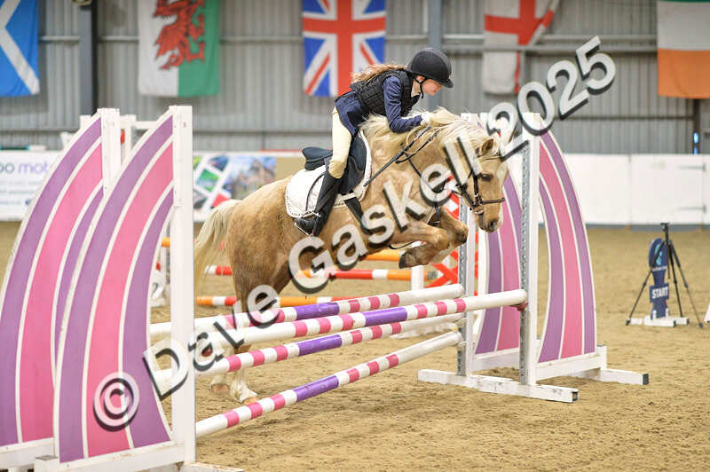 D4N_5717 - NorthcoteSun16thNov'25 Unaff.Jumping AvailableUntil16thDec'25