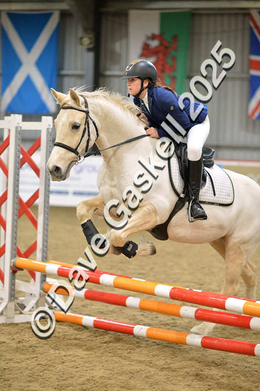 D4N_5648 - NorthcoteSun16thNov'25 Unaff.Jumping AvailableUntil16thDec'25