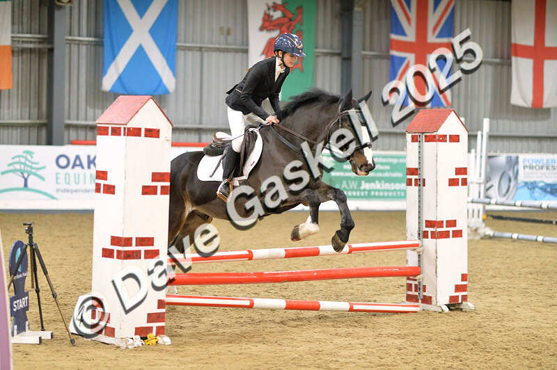 D4N_5778 - NorthcoteSun16thNov'25 Unaff.Jumping AvailableUntil16thDec'25