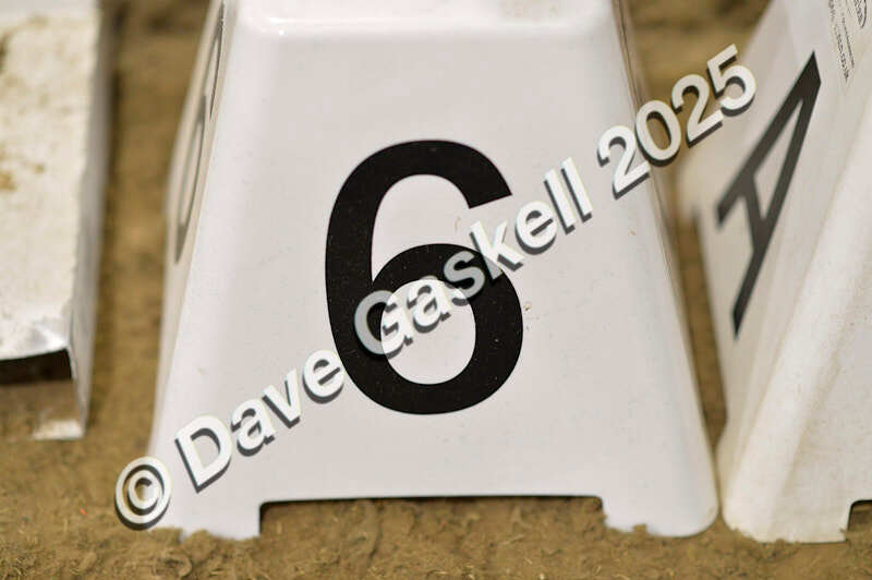 D4N_7016 - NorthcoteSat8thDec'25 XmasShowJumping AvailableUntil6thJan'26