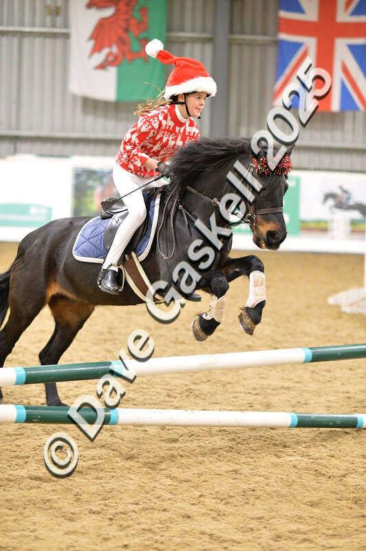 D4N_6759 - NorthcoteSat8thDec'25 XmasShowJumping AvailableUntil6thJan'26
