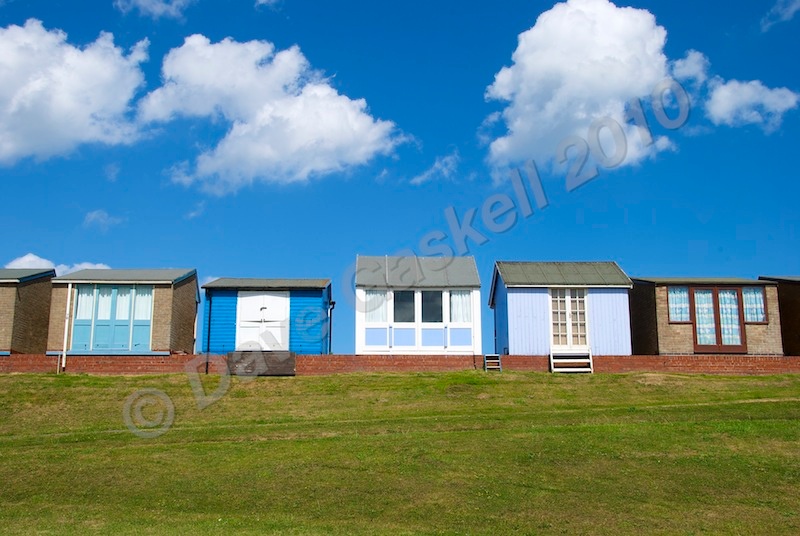 DSC_4467 - Sandilands