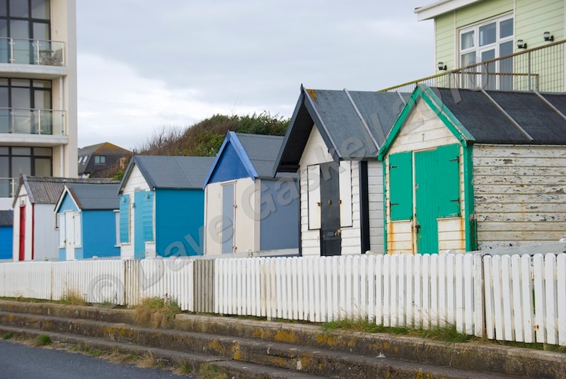 DSC_5648 - Westward Ho!