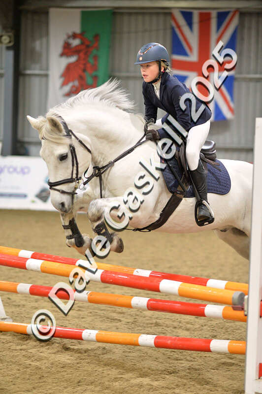 D4N_5848 - NorthcoteSun16thNov'25 Unaff.Jumping AvailableUntil16thDec'25