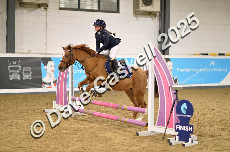 D4N_5567 - NorthcoteSun16thNov'25 Unaff.Jumping AvailableUntil16thDec'25